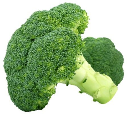 broccoli-iv1